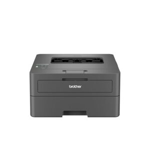 Brother HL-L2440DW(New Launch)Auto Duplex Monochrome Laser Printer,30 PPM Print Speed,LCD Display,64 MB Memory,(WiFi Direct LAN USB),250 Sheet Paper Tray,3000 Pages Inbox Toner,Free Installation,Black